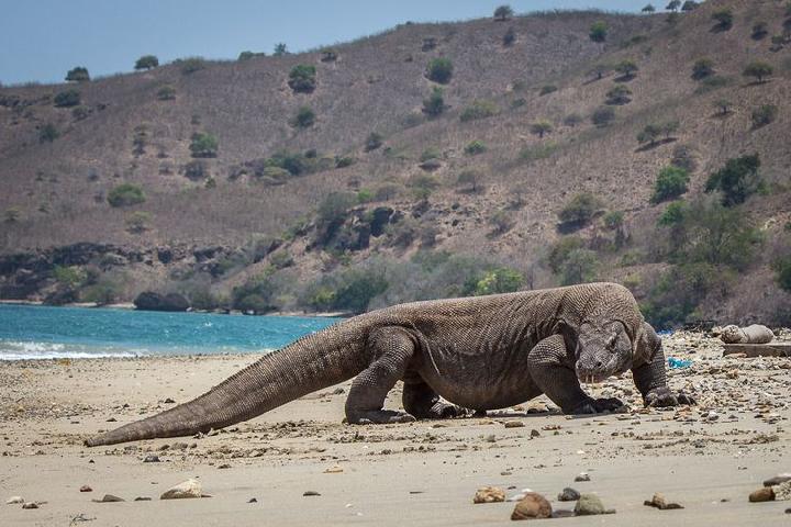 31 Desa Baru di Manggarai Barat Dinilai Penuhi Syarat, DPRD Dorong Penetapan Ranperda